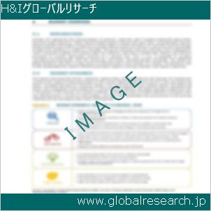 グローバルリサーチ調査レポートのイメージ